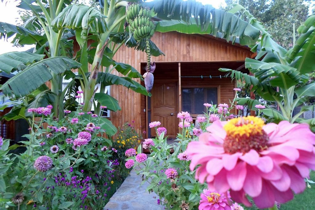 Estelar Bungalow Cirali Exterior photo